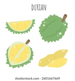 Durian, fruit, fresh durian, hand drawn