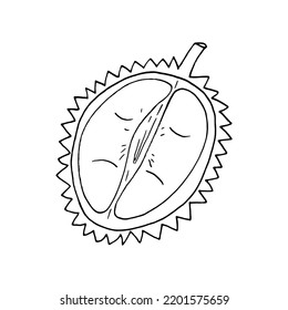 fruto del durión a medio camino dibujado en forma de doodle. 
