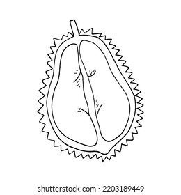 Durian Obst halb handgezeichnet im Doodle-Stil.