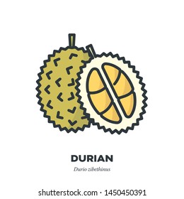 Durian fruit icon, outline with color fill style vector illustration, whole and half fruit