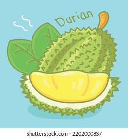 Durian fruit illustration hand drwan style