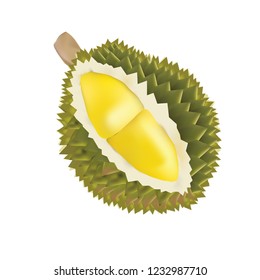 Durian  Fruit Image