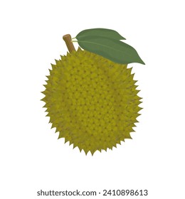 Durian Fruit Isolated Vector Illustration Logo