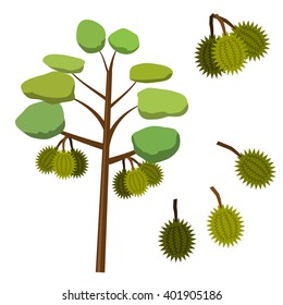 Durian fruit on durian tree in flat style, vector