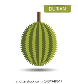 Durian, fruit on white background. Flat design style. vector illustration.