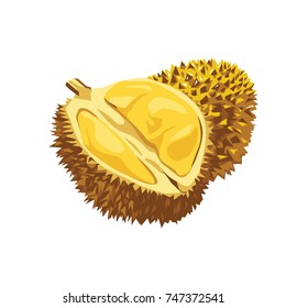 Durian Fruit Realistic Vector