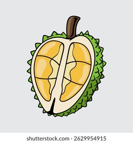 Durian fruit simple isolated cartoon illustration with a light background