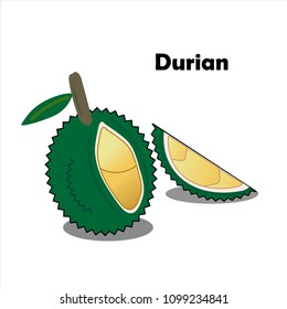 Durian is a fruit that is known as the king of fruits and has a distinctive odor. The durian fruit is large and spiky, covered throughout the shell.