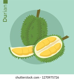 Durian fruit vector flat style