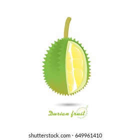 Durian fruit, vector icon