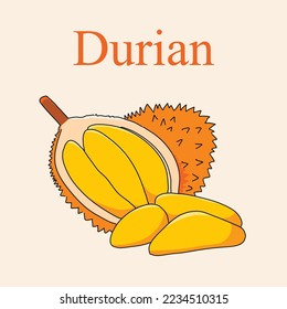 Duras-Frucht-Vektorgrafik-Hand zeichnen