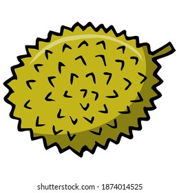 durian fruit vector illustration isolated on white background for education, fruits top view