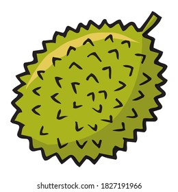 durian fruit vector illustration,isolated on white background for education,fruits top view