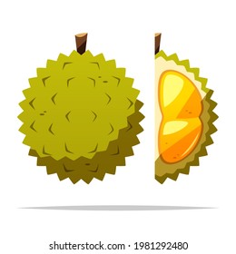 Durian Fruit Vector Isolated Illustration
