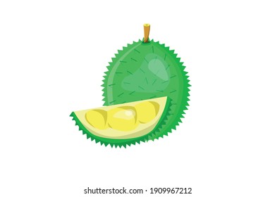 vector de fruto del durión o lo que a menudo se llama "el rey de la fruta".