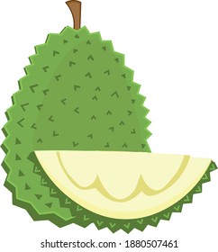 Durian Green Fresh Fruit Full And Sliced Vector Illustration