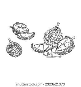 durian hand drawn doodle illustrations vector set
