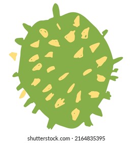 Durian Hand Drawn Illustration Vector