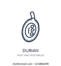 Durian icon. Durian linear symbol design from Fruit and vegetables collection. Simple outline element vector illustration on white background.