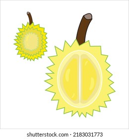 Durian icon logo vector illustration