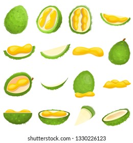 Durian icons set. Cartoon set of durian vector icons for web design
