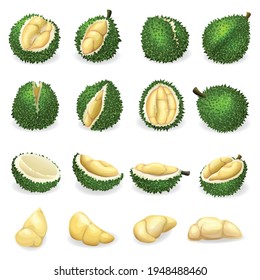 Durian icons set. Cartoon set of durian vector icons for web design
