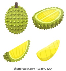 Durian icons set. Isometric set of durian vector icons for web design isolated on white background