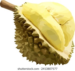 Ilustración duriana de la silueta aislada del vector fondo blanco