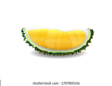 Durian isolated on white background. Vector illustration. Fresh cut Durian which is king of fruit.