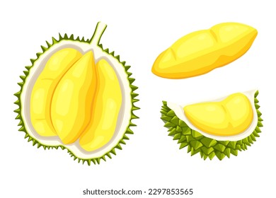 durian isolated on white background