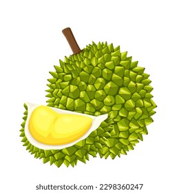 durian isolated on white background