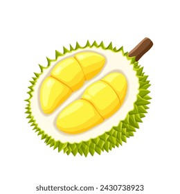 durian isolated on white background	