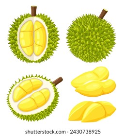 durian isolated on white background	