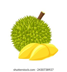 durian isolated on white background	