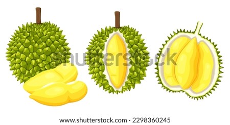 durian isolated on white background