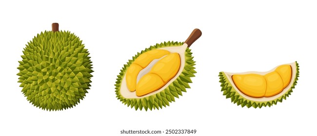 durian isolated on white background.Vector illustration cartoon flat icon isolated on white.