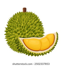 durian isolated on white background.Vector illustration cartoon flat icon isolated on white.