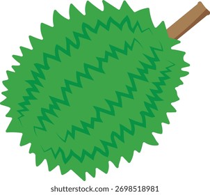 durian isolado no fundo branco.Vetor ilustração desenho animado