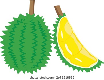 Durian aislado en el fondo blanco. Dibujos animados de Ilustración vectorial
