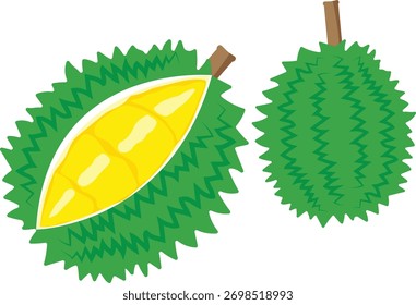 Durian aislado en el fondo blanco. Dibujos animados de Ilustración vectorial
