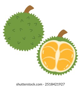 Durian König der Frucht Illustration