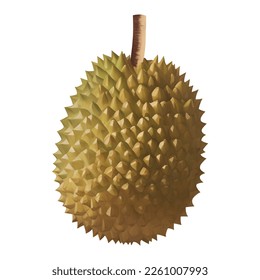 Durian King of Fruits Isolated Detailed Hand Drawn Painting Illustration