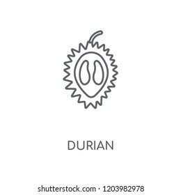 Durian linear icon. Durian concept stroke symbol design. Thin graphic elements vector illustration, outline pattern on a white background, eps 10.