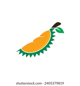 Durian logo icon, vector illustration design