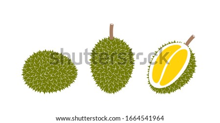 Durian logo. Isolated durian on white background