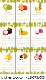 Durian and mango pineapple posters set vector. Mangosteen and pomelo, longan and pitaya, tropical fruits exotic food with monstera leaves decoration