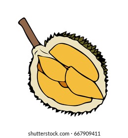 Durian on white background vector illustration. Doodle style. Design icon, print, logo, poster, symbol, decor, textile, paper, card. 