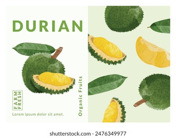 Durian Verpackungsdesign Vorlagen, Aquarell-Stil Vektorillustration.