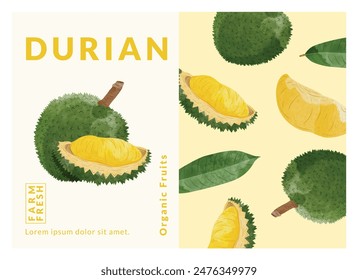 Durian packaging design templates, watercolour style vector illustration.