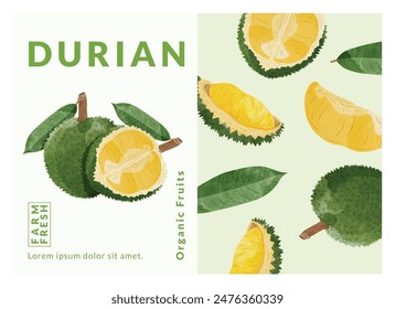 Durian packaging design templates, watercolour style vector illustration.